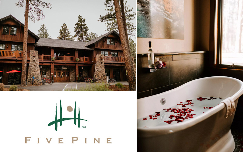 Five Pine Accommodations Brochure Cover 2022 Five Pine Accommodations Brochure Cover 2022