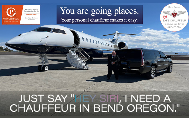 Transportation - Safe Chauffeur Brochure Logo